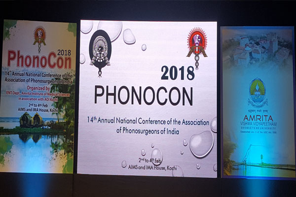 Phonocon 2018 — photo 7