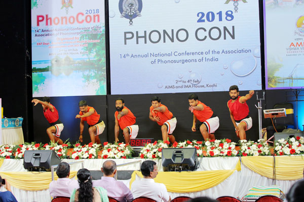 Phonocon 2018 — photo 9