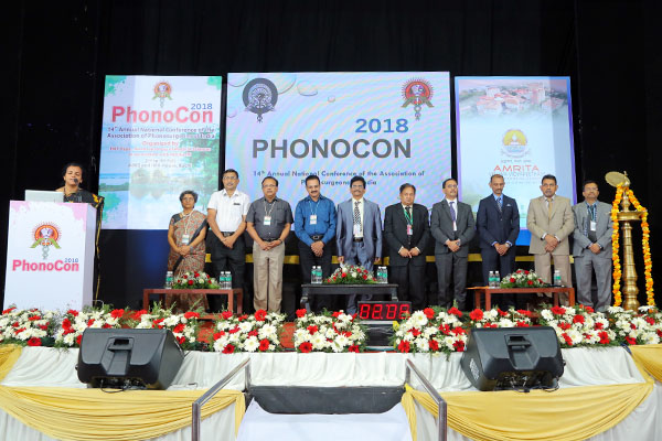 Phonocon 2018 — photo 16