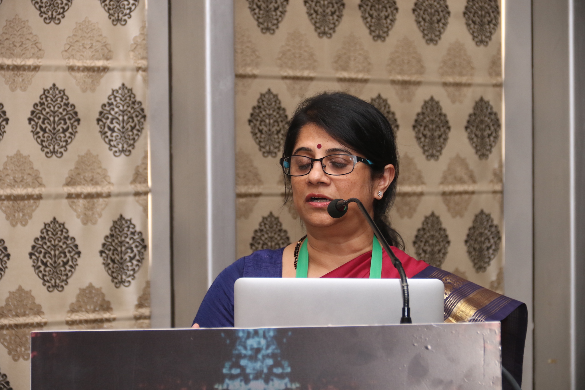 Phonocon 2019 — photo 26