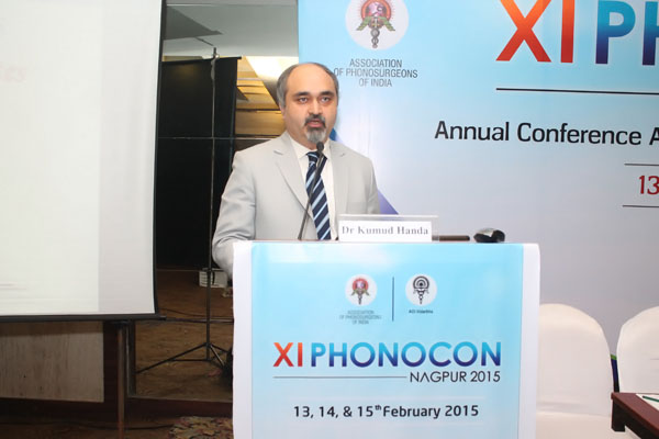 Phonocon 2015 — photo 4